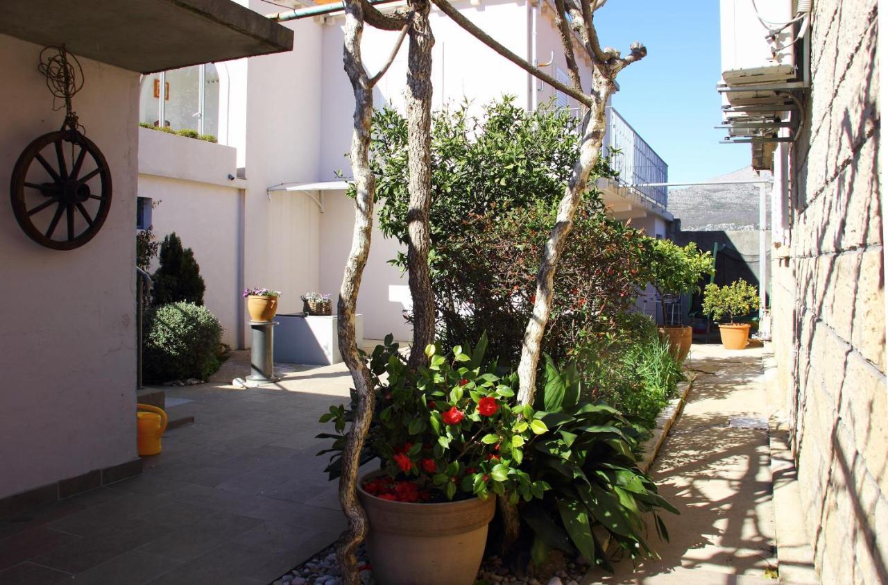 Apartment Marita Čilipi المظهر الخارجي الصورة
